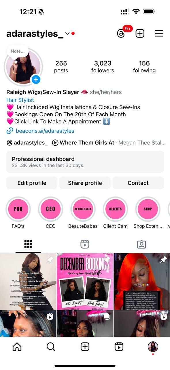 Before Instagram profile screenshot
